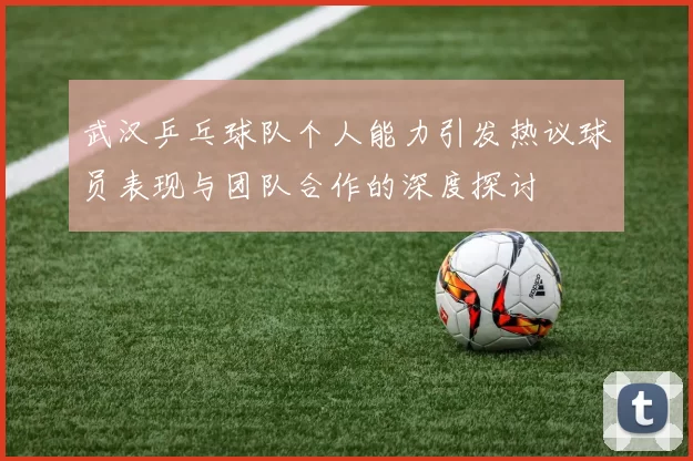 武汉乒乓球队个人能力引发热议球员表现与团队合作的深度探讨