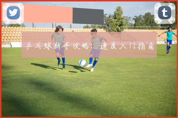 乒乓球新手攻略：速度入门指南