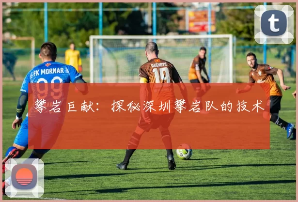 攀岩巨献：探秘深圳攀岩队的技术