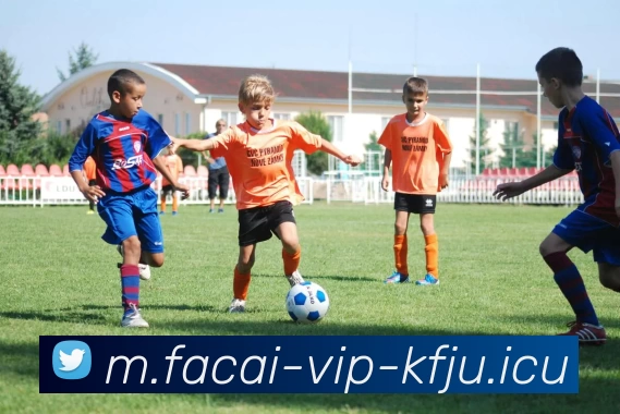 MK体育APP 封面图